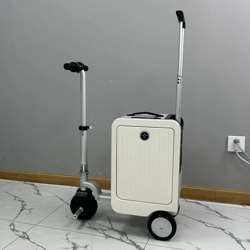 Поездка на сумке для багажа